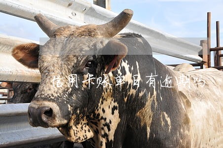信用卡账单日有逾期吗