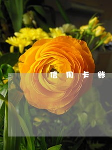 信用卡账单日超过两分钟算逾期吗 信用卡账单日超过两分钟算逾期吗