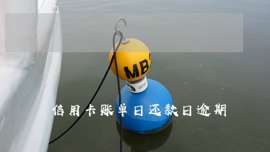 信用卡账单日还款日逾期