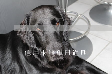 信用卡账单日逾期 信用卡账单日逾期