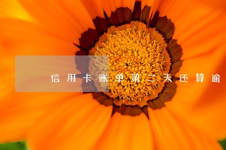 信用卡账单第二天还算逾期吗
