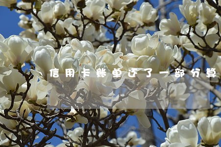 信用卡账单还了一部分算逾期吗 信用卡账单还了一部分算逾期吗