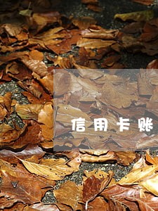 信用卡账单还款就不算逾期 信用卡账单还款就不算逾期