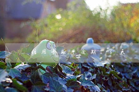 信用卡账单逾期15天