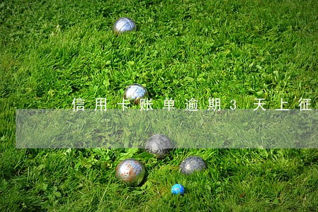 信用卡账单逾期3天上征信吗 信用卡账单逾期3天上征信吗