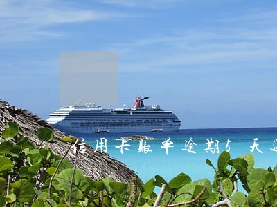 信用卡账单逾期5天还款吗 信用卡账单逾期5天还款吗