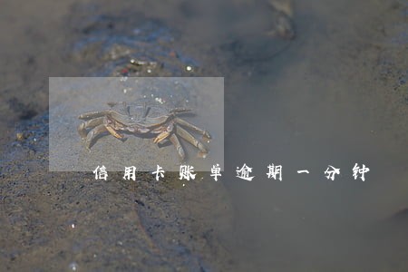 信用卡账单逾期一分钟 信用卡账单逾期一分钟