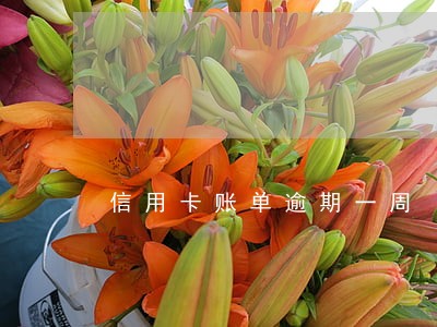 信用卡账单逾期一周 信用卡账单逾期一周