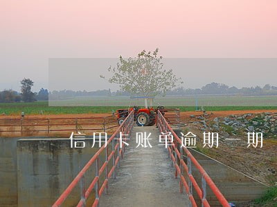 信用卡账单逾期一期