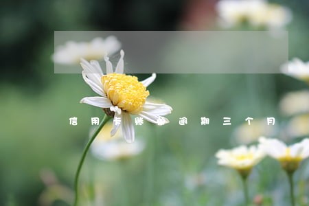 信用卡账单逾期三个月 信用卡账单逾期三个月