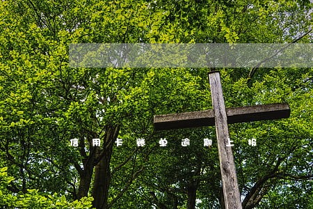 信用卡账单逾期上报 信用卡账单逾期上报