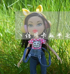 信用卡账单逾期不良记录 信用卡账单逾期不良记录