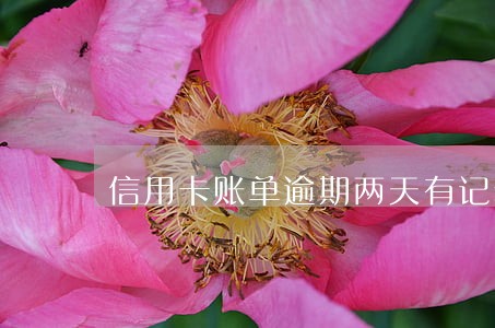 信用卡账单逾期两天有记录吗 信用卡账单逾期两天有记录吗