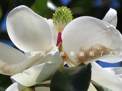信用卡账单逾期了几天还能用吗 信用卡账单逾期了几天还能用吗