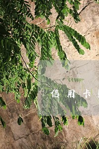 信用卡账单逾期会 信用卡账单逾期会