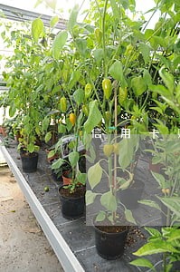 信用卡账单逾期几天被纳入征信 信用卡账单逾期几天被纳入征信