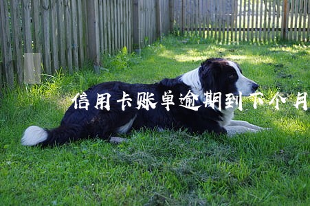 信用卡账单逾期到下个月