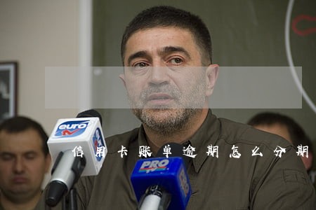 信用卡账单逾期怎么分期还款吗 信用卡账单逾期怎么分期还款吗
