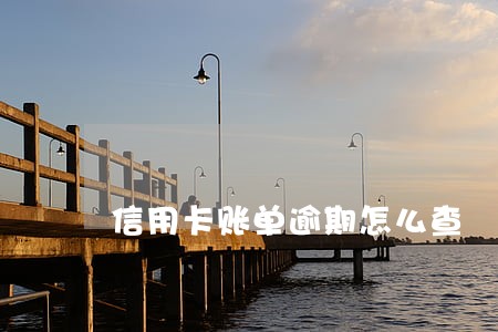 信用卡账单逾期怎么查