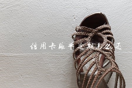 信用卡账单逾期怎么还 信用卡账单逾期怎么还