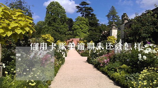 信用卡账单逾期未还会怎样
