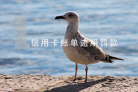 信用卡账单逾期罚款