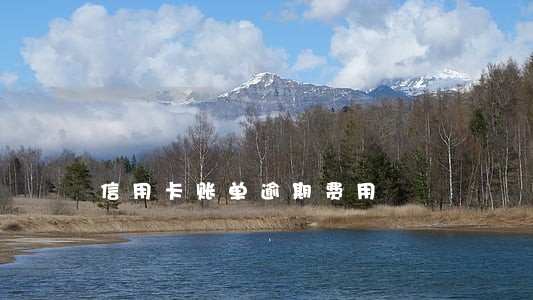 信用卡账单逾期费用 信用卡账单逾期费用