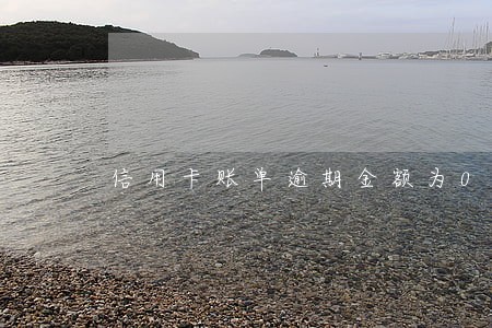信用卡账单逾期金额为0 信用卡账单逾期金额为0