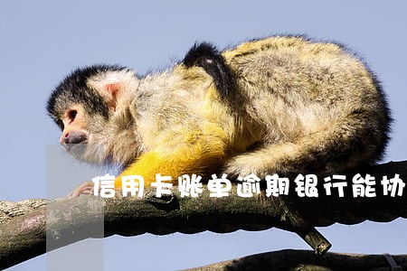 信用卡账单逾期银行能协商吗 信用卡账单逾期银行能协商吗