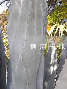 信用卡账户后产生逾期吗 信用卡账户后产生逾期吗