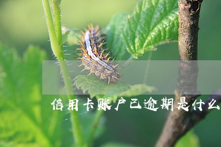 信用卡账户已逾期是什么意思 信用卡账户已逾期是什么意思