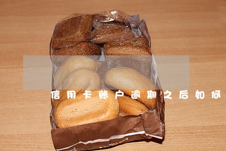 信用卡账户逾期之后如何缴费