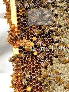 信用卡账户逾期交易失败 信用卡账户逾期交易失败