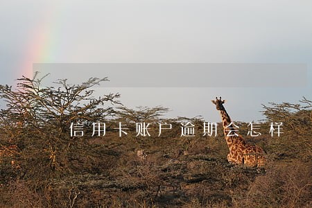信用卡账户逾期会怎样 信用卡账户逾期会怎样