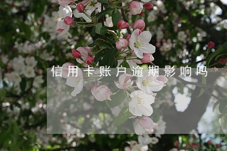 信用卡账户逾期影响吗 信用卡账户逾期影响吗