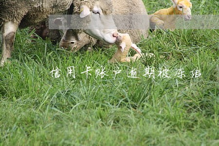 信用卡账户逾期被冻结 信用卡账户逾期被冻结