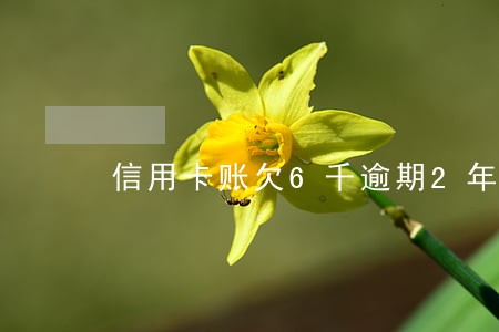 信用卡账欠6千逾期2年 信用卡账欠6千逾期2年