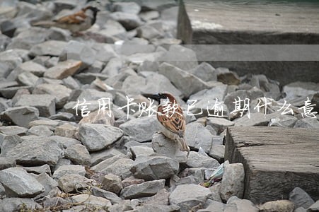 信用卡账款已逾期什么意思 信用卡账款已逾期什么意思