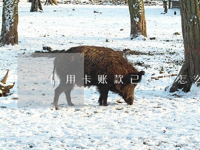 信用卡账款已逾期怎么办 信用卡账款已逾期怎么办