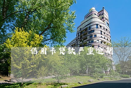 信用卡贷款严重逾期