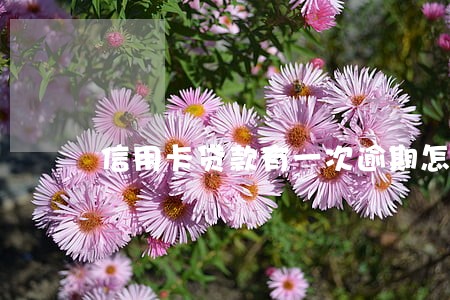 信用卡贷款有一次逾期怎么办