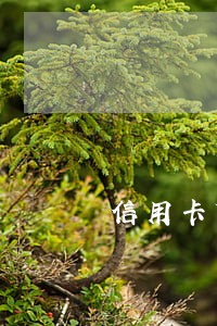 信用卡贷款网贷逾期