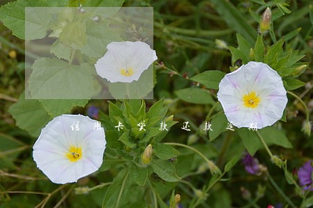 信用卡贷款还款逾期
