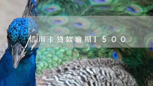 信用卡贷款逾期1500 信用卡贷款逾期1500