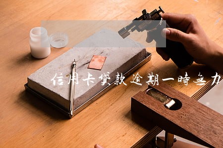 信用卡贷款逾期一时无力偿还 信用卡贷款逾期一时无力偿还