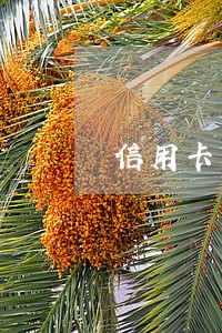 信用卡贷款逾期上征信时间 信用卡贷款逾期上征信时间