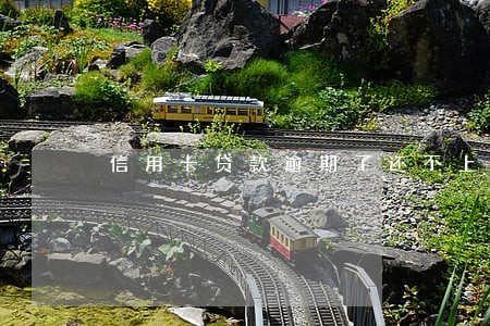 信用卡贷款逾期了还不上了 信用卡贷款逾期了还不上了
