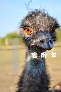 信用卡贷款逾期多久 信用卡贷款逾期多久