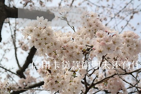信用卡贷款逾期未还有什么后果 信用卡贷款逾期未还有什么后果