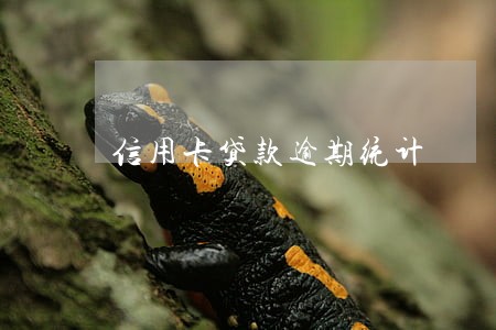信用卡贷款逾期统计